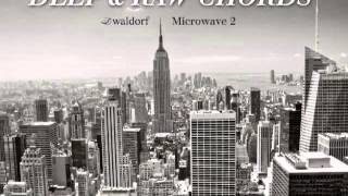 Waldorf Microwave 2  Deep amp RAW Chords [upl. by Adelice]