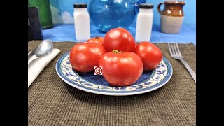 Silbertanne Tomato Seeds For Sale At Bounty Hunter Seeds [upl. by Ativoj]