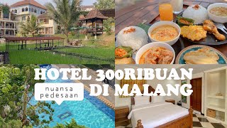 Review Hotel Padi Heritage Malang Cuma 300 Ribuan  Kopi Kali Brantas [upl. by Launam]