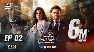 Aye Ishq e Junoon Episode 2  Ushna Shah  Sheheryar Munawar  12th Nov 2024 Eng Sub  ARY Digital [upl. by Serica]