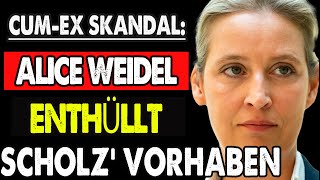 AfD enthüllt das Komplott hinter Scholz Wahlverzögerung [upl. by Fonz]