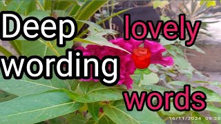 Very beautiful wording🌹 lovely words Deep wordingMix video with Shah family [upl. by Fontes]