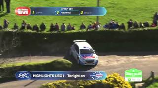 Circuit of Ireland Rally 2014  After SS4 [upl. by Eiboh349]