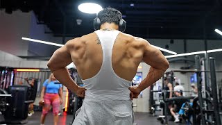 Upgrade Day 2430  Best Back and Biceps workout Hindi [upl. by Nerol718]