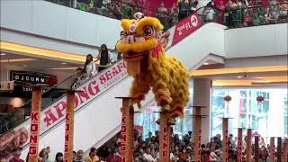 🦁 2️⃣0️⃣2️⃣4️⃣ Lion Dance Barongsai at Living World Alam Sutera Tangerang Indonesia [upl. by Maidy505]