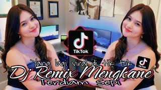 DJ REMIX MENGKANE TERDIAM SEPI SOUND FYP VIRAL TIK TOK TERBARU [upl. by Shandee628]