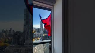 Nepal flag ❤️fyp nepal canada viralvideo peace nepalimusic music [upl. by Adaha]