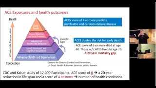 272024 Psychiatry Grand Rounds  Dolores Malaspina [upl. by Anwahsiek]