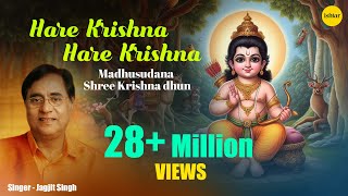 Ram Navmi Special  Hare Ram Hare Krishna  Jagjit Singh  Keshwa Madhwa  Shri Krishna  Ram Dhun [upl. by Hsotnas]