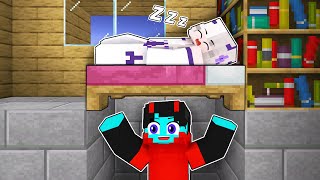 I Spent 24 Hours in Sheyyyns House  Minecraft [upl. by Marcus748]