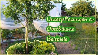 Unterpflanzungen für Obstbäume Beispiele  Permakultur [upl. by Black]