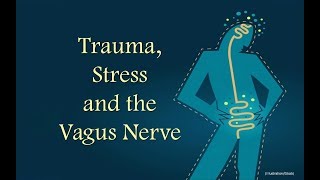 Trauma Stress amp the Vagus Nerve [upl. by Suilmann474]