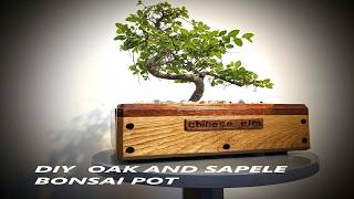 Making a Wooden Bonsai Pot [upl. by Connors]