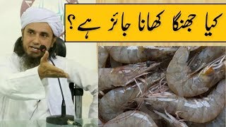 Kya Jhinga Prawns Khana Jaiz Hai Mufti Tariq Masood  Islamic Group [upl. by Natsyrk]