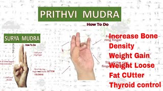 Surya and Prithvi Mudra  Weight Loss and Gain  Bone Density  Increase Metabolism [upl. by Elma]