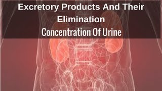 Concentration Of Urine [upl. by Beuthel]