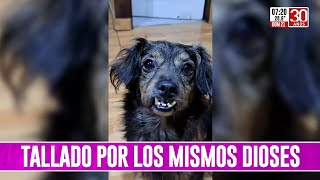 Redes los videos más virales de la semana [upl. by Lainad299]