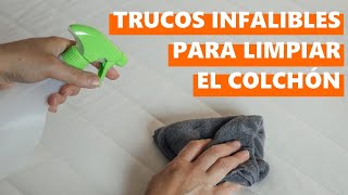 Cómo limpiar el colchón fácilmente y mantenerlo como nuevo [upl. by Nnairac]