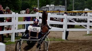 Class 109  Hackney Roadster Pony  Interstate Horse Show in Randolph on July 2 2022 [upl. by Opiak138]