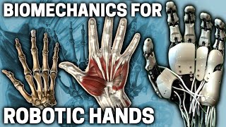 Biomechanics of the CMC Joint for Bionic Hands  Biomimetic Mechatronic Hand Part 4 [upl. by Allemrac]