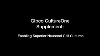 Gibco CultureOne Supplement Superior Neuronal Cell Culture [upl. by Heidt]