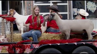 Larimer County Fair Parade 2024  Loveland CO [upl. by Mitzl]