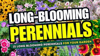 🌼💖 ENDLESS BLOOMS 15 Long BLOOMING Perennials to Keep Your Garden VIBRANT 😍🌸 [upl. by Collyer100]