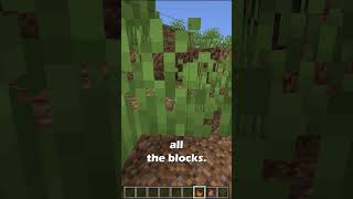 I Downgraded My Minecraft World to See What Happens [upl. by Acirre]