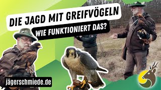 Die Falknerei und Beizjagd  Mach dich fit für die Jagdprüfung Praktischer Jagdbetrieb [upl. by Kcinom]