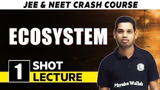 Ecosystem  One Shot Lecture  CHAMPION  NEET CRASH COURSE 2022 [upl. by Sadella]