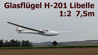 Glasflügel H201Libelle giant scale 12 RC glider 2017 [upl. by Suaeddaht]