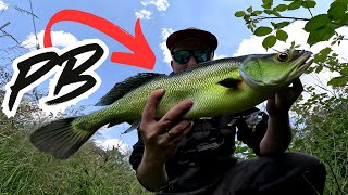 HEFTIGER PB bei der Better Fishing Box CHALLENGE  Unboxing [upl. by Vite]