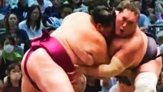 Nagoya Basho 2024 Day 4 Terunofuji vs Mitakeumi [upl. by Griffy]