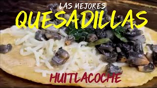 Quesadilla de huitlacoche I El caviar Mexicano 🌮🧀🌽 [upl. by Ayra]