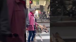 Anciana paseando un lobo en Paris shorts [upl. by Laehplar]