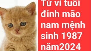 tử vi tuổi đinh mão nam mạng sinh 1987 năm 2024 [upl. by Guise]