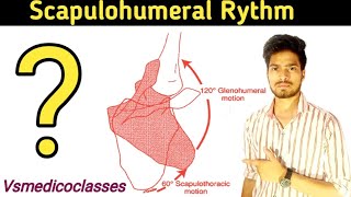 scapulohumeral rhythm in hindi  scapulohumeral rhythm biomechanics  scapulohumeral rhythm in hindi [upl. by Ferino335]