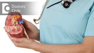 What are Kidney Cyst amp its causes  Dr Vidyashankar Panchangam [upl. by Ryann929]