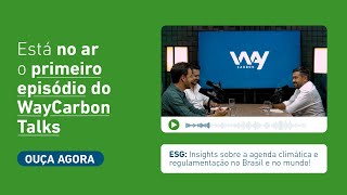 WayCarbon Talks 01  ESG Insights sobre a agenda climática e mais [upl. by Hplar]