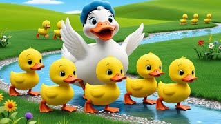 Five Little Ducks Ep 3  Classic Counting Rhyme for Kids [upl. by Onairelav227]