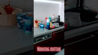 My Morning Routine morningroutine routines aleksandras Aleksandra S Routines  clean with me [upl. by Cheke]