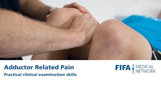 Adductor Related Pain  Practical Clinical Examination Skills [upl. by Ilse]