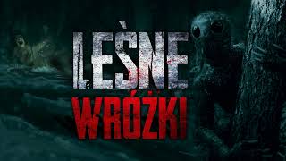 Leśne wróżki  CreepyPasta PL [upl. by Vins]