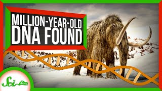 The Oldest DNA Ever Found [upl. by Einaffyt286]