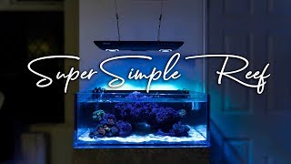 How To Setup a Super Simple Saltwater Reef Aquarium for Beginners [upl. by Mela]