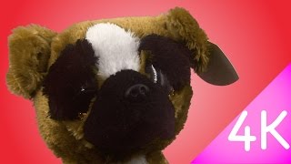 Ty Beanie Boos  Brutus 4k [upl. by Estelle]