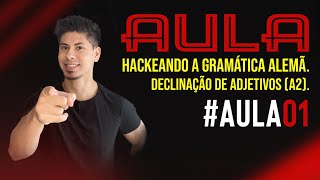 Declinação de Adjetivos A2  Hackeando a Gramática Alemã [upl. by Nine928]