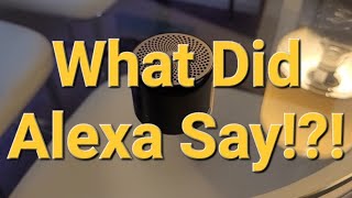 I Ask ALEXA About Government [upl. by Eintrok267]