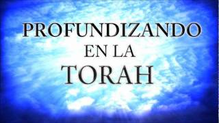 profundizando en la Torah 3 5 [upl. by Oregolac]