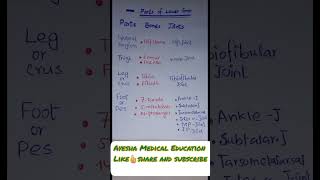 parts of lower limb bones joints  anatomy of lower limb ayesha medical education [upl. by Dranoel539]